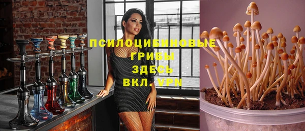 дурь Алексеевка