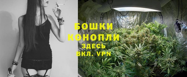 дурь Алексеевка