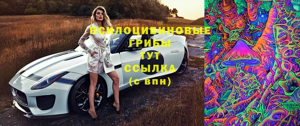 дурь Алексеевка