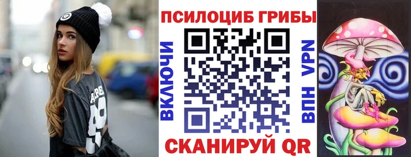 OMG онион  Приморск  Галлюциногенные грибы GOLDEN TEACHER 